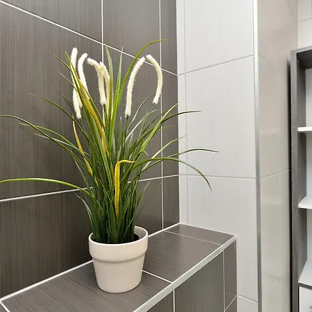 Daire Sweet Corner Zadar